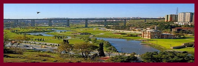 Kağıthane baca temizleme servisi